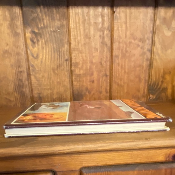 1st Edition 'A History of American Painting' Hardcover Book. Very Good Condition - Picture 15 of 16